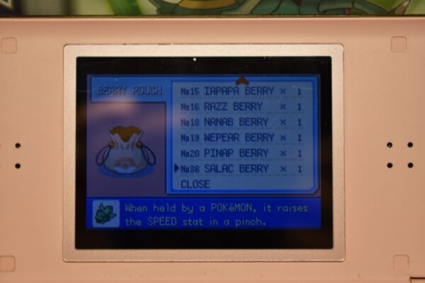 Salac Berry hold item from Jirachi trough Pokemon Channel